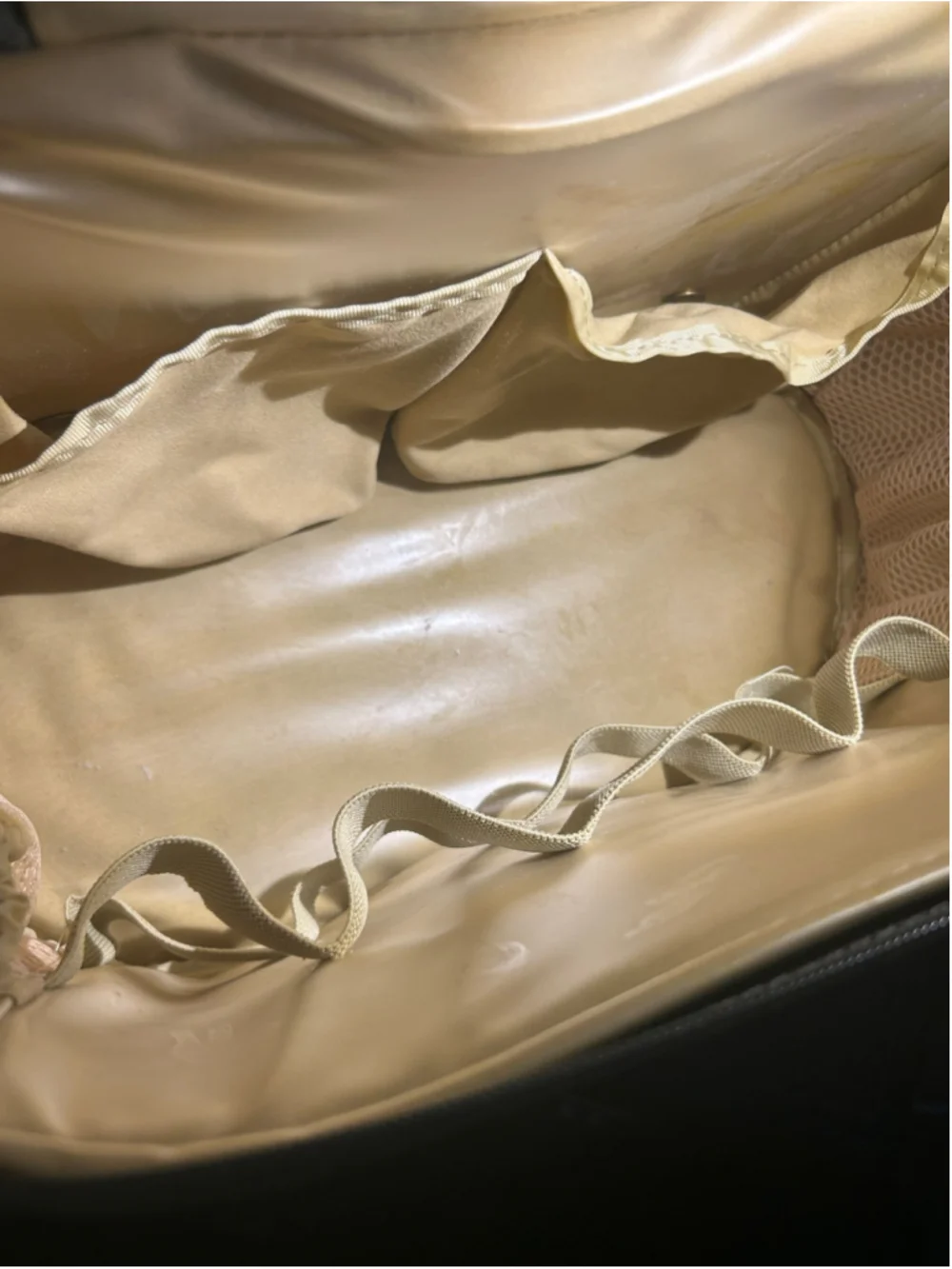 Lark Travel Case One Size Olive and Brown